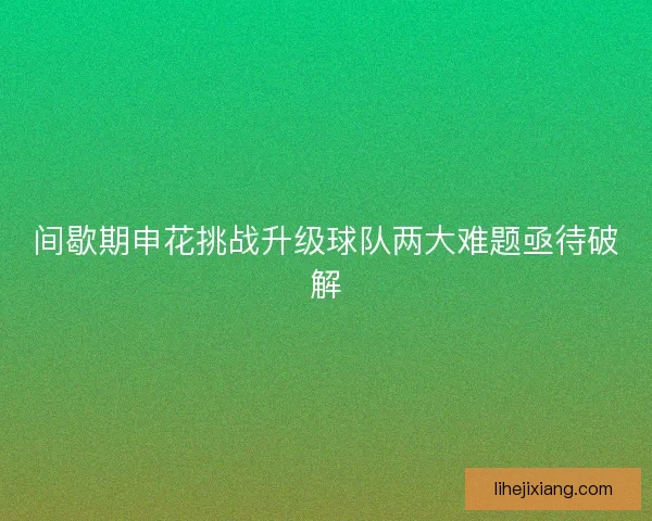 间歇期申花挑战升级球队两大难题亟待破解